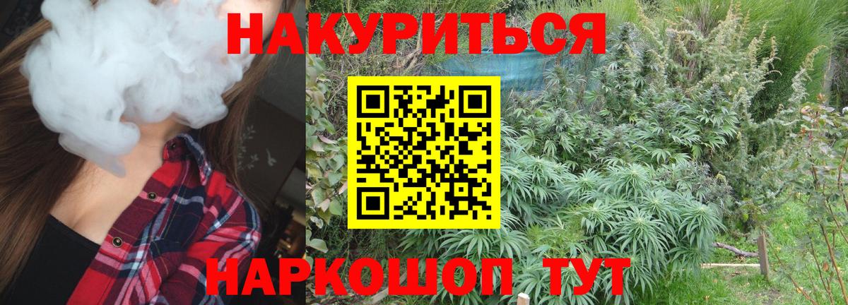 Бошки марихуана SATIVA & INDICA Дедовск